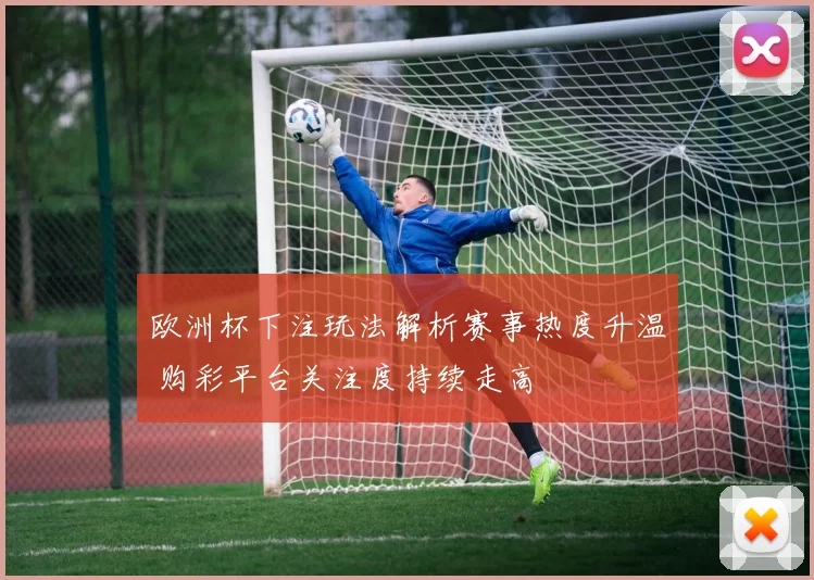 欧洲杯下注玩法解析赛事热度升温 购彩平台关注度持续走高