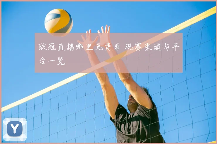 欧冠直播哪里免费看 观赛渠道与平台一览