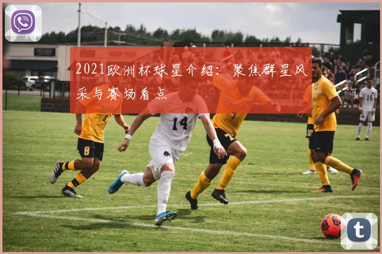 2021欧洲杯球星介绍：聚焦群星风采与赛场看点
