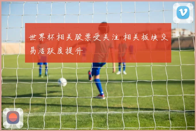 世界杯相关股票受关注 相关板块交易活跃度提升