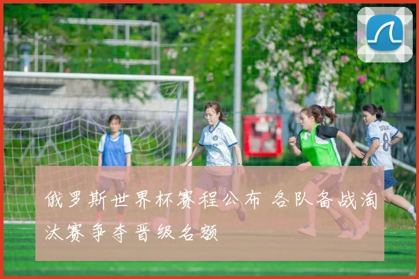 俄罗斯世界杯赛程公布 各队备战淘汰赛争夺晋级名额