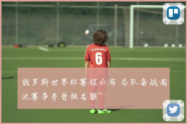 俄罗斯世界杯赛程公布 各队备战淘汰赛争夺晋级名额